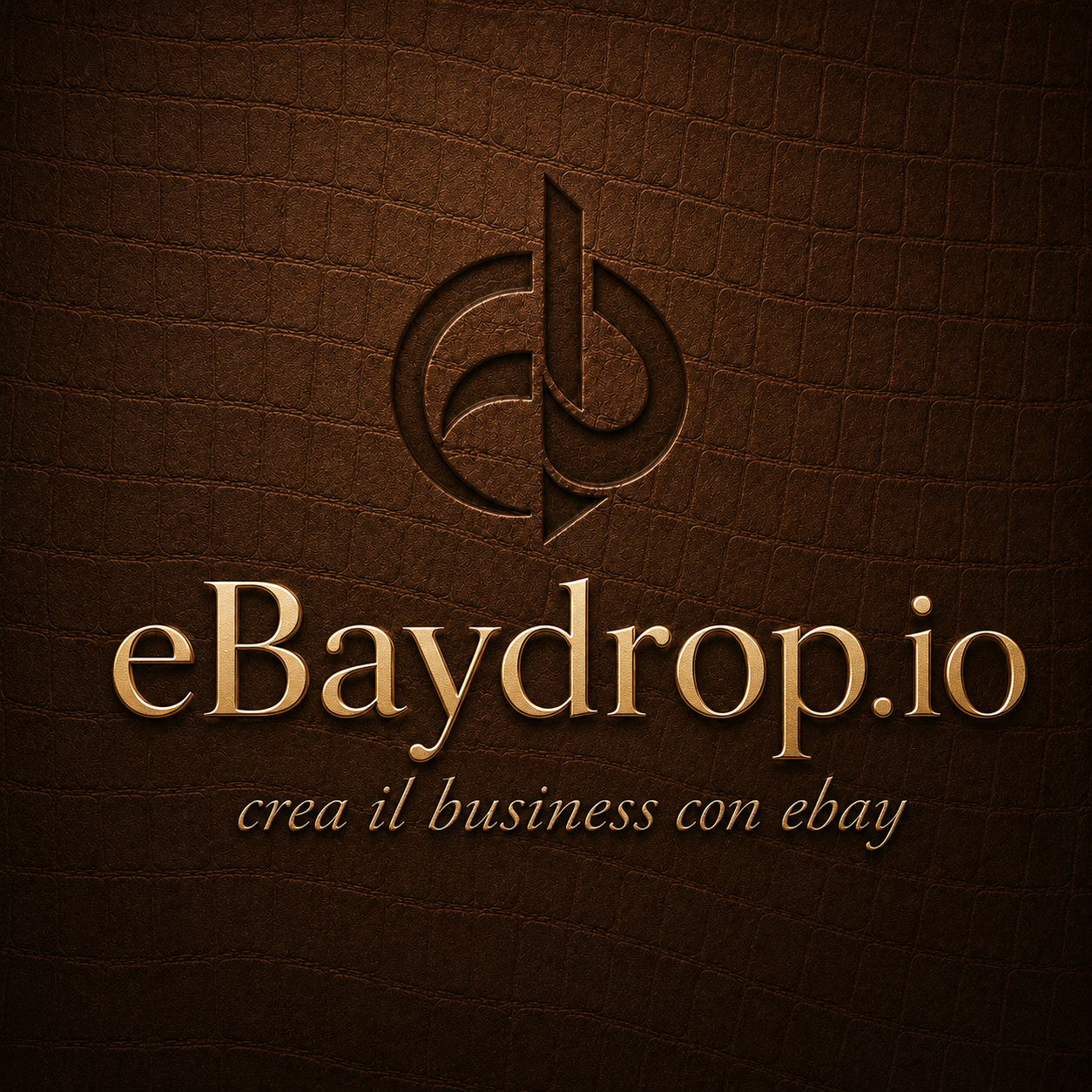 eBaydrop.io logo